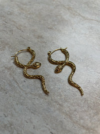 Medusa Hoops